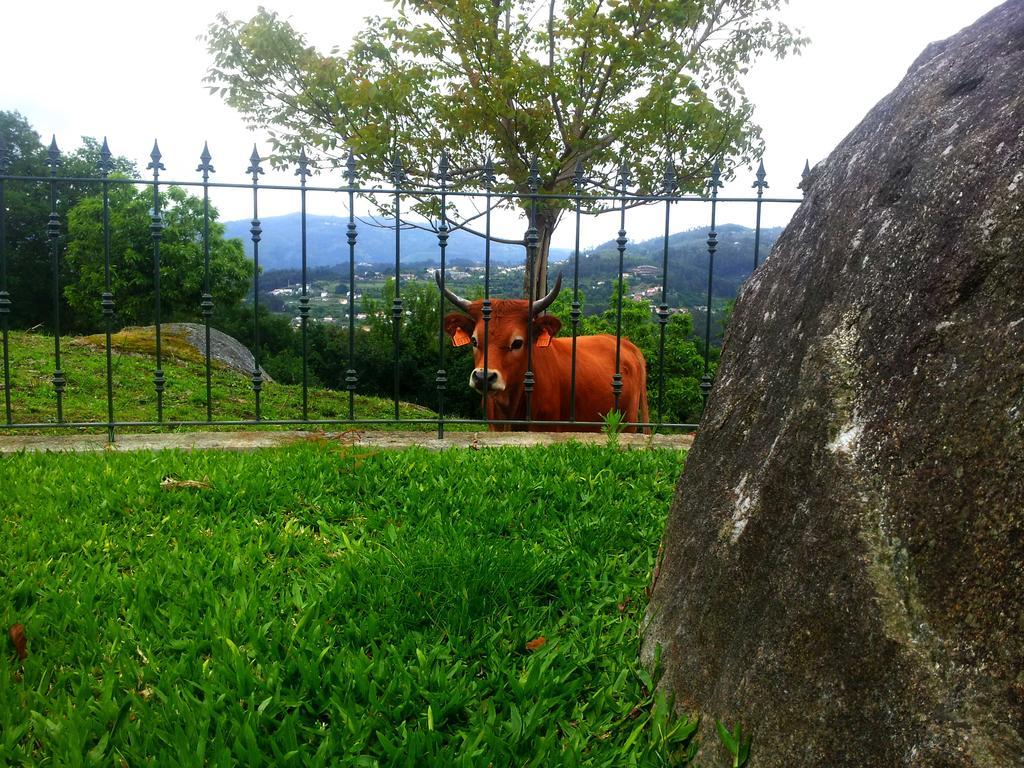 Quinta Da Toural Villa Arcos de Valdevez Eksteriør billede